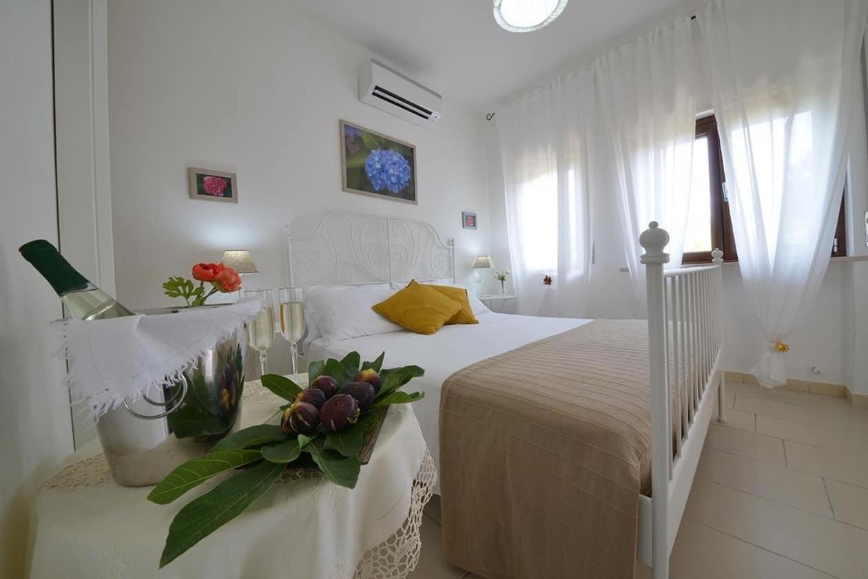Pacifica Bed and breakfast 3*